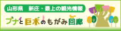 ブナと巨木のもがみ回廊